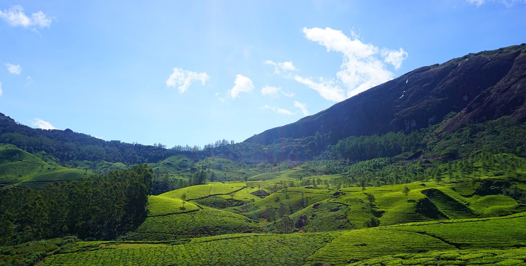 The Best Tour Packages in Kerala